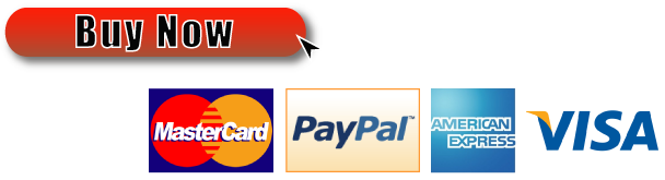 Virtual Office / Virtual Office Address - paypal-logo